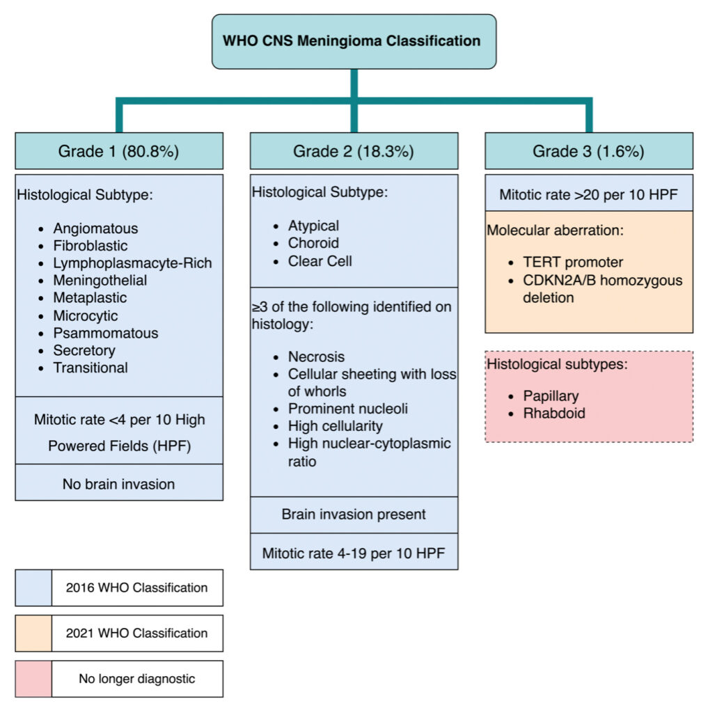 Beyond the WHO classification of meningioma: using molecular ...